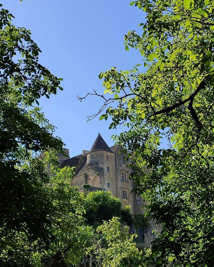 Petite Maison En Pierre Au Coeur Du Perigord Noir Proche De Sarlat Et Rocamadour Salignac Eyvigues Exterior photo