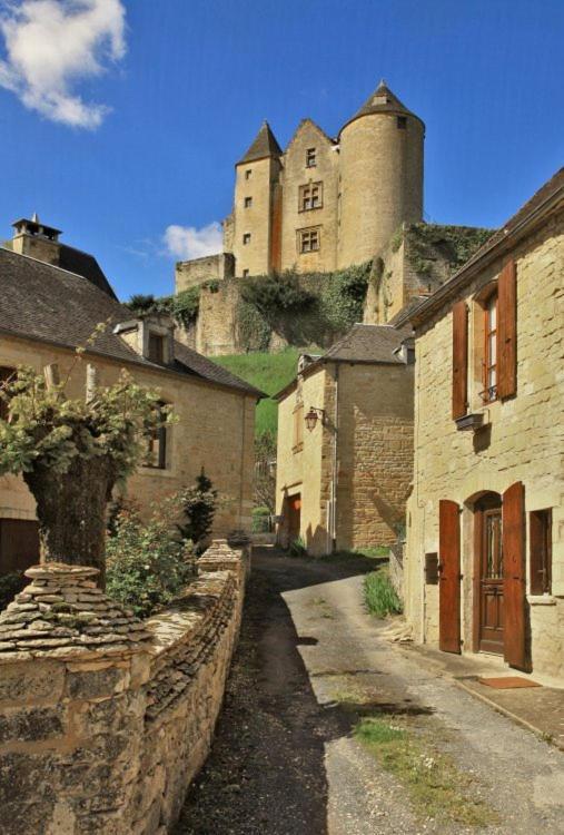 Petite Maison En Pierre Au Coeur Du Perigord Noir Proche De Sarlat Et Rocamadour Salignac Eyvigues Exterior photo