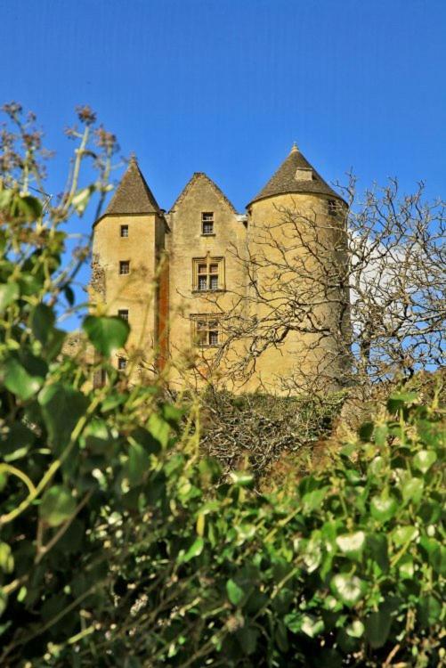 Petite Maison En Pierre Au Coeur Du Perigord Noir Proche De Sarlat Et Rocamadour Salignac Eyvigues Exterior photo